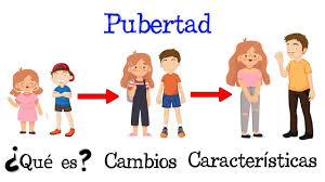 💥 ¿Qué es la Pubertad? 💥 [Fácil y Rápido] | BIOLOGÍA | - YouTube